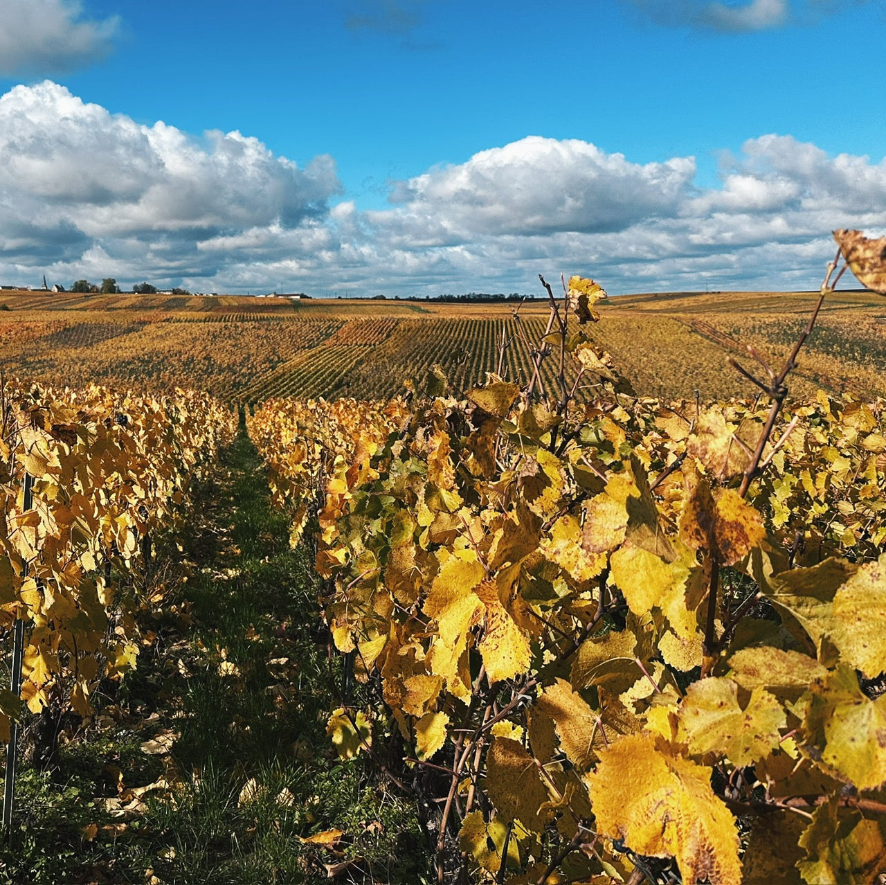 Our All-Time Favourites